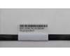 5C10U58474 Lenovo CABLE Fru 350mm SATA I RA TO II ST_TCO8