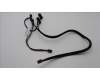 5C10U58589 Lenovo CABLE Fru,Manual HDD Tray SAS Cable_TCO8