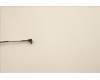 5C10U58614 Lenovo CABLE Fru450mmSATA w_o lath R_angle_TCO8