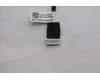 5C10U58648 Lenovo CABLE FRU BL_Cable