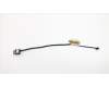 5C10U63943 Lenovo CABLE EDP Cable L 81EV FHD New