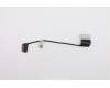 5C10Z39958 Lenovo Kabel UHD ohne Touch Displaykabel
