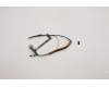 5C11C12507 Lenovo CABLE H-CONN SET 1VU M/B CAM W/FPC HPD