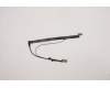 5C11C12543 Lenovo CABLE FRU CABLE RGB CAMERA CABLE NO HPD