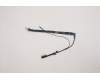 5C11C12543 Lenovo CABLE FRU CABLE RGB CAMERA CABLE NO HPD