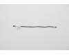 5C11C12574 Lenovo CABLE FRU Pen cable