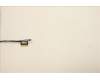 5C11C12602 Lenovo CABLE FRU Mars3.0AMD EDP&IR Camera cable