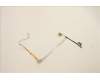 5C11C12602 Lenovo CABLE FRU Mars3.0AMD EDP&IR Camera cable