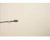5C11C12619 Lenovo CABLE FRU CABLE CABLE, eDP cable, Talos