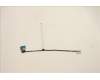 5C11C12619 Lenovo CABLE FRU CABLE CABLE, eDP cable, Talos