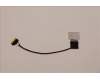 5C11C12634 Lenovo CABLE FRU EDPCAB,CS COA2.4tWL/WWFHD&3.0T
