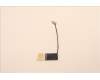 5C11H81442 Lenovo CABLE H-CONN SET MB-FHDTOUCH COAXIAL+TEF