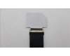 5C11H81498 Lenovo CABLE FRU CABLE EDP CS 2.0T WWAN