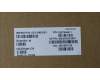 5C11H81501 Lenovo CABLE FRU CABLE EDP YG 2.0T WWAN