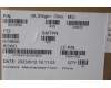 5C11H81584 Lenovo CABLE H-CONN SET M/B-QHD_EDP CABLE
