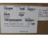 5C11H81587 Lenovo CABLE FRU H-CONN SET 2WP M/B FHD CAM