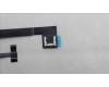 5C11L99746 Lenovo CABLE CABLE-FPC,FPR,FORCEPAD,WWAN (AKM)