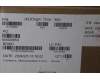 5C11P26202 Lenovo CABLE EDP FHD Touch CABLE