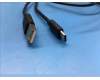 5C18C21915 Lenovo SP101FU Cable_USB&*61004-01004 CS