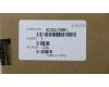5C50L70681 Lenovo CARDPOP OneLink Board Q 80SY W/Cable