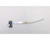 5C50L78318 Lenovo CARDPOP AUO Board W 80TL W/Cable