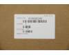 5C50Q62195 Lenovo CARDPOP Anschlusswechselplatine W 81AC