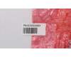 5C50S24924 Lenovo CARDPOP USB-Platine H 81NE