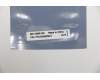 5C50S25011 Lenovo CARDPOP USB-Platine L 81XA