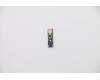 5C50S25033 Lenovo CARDPOP Function Board L 81Q9 new