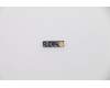 5C50S25033 Lenovo CARDPOP Function Board L 81Q9 new
