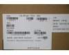 5C50S25217 Lenovo CARDPOP USB Board L 82K8