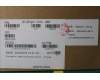 5C50S25369 Lenovo CARDPOP USB Board L 82SF