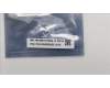 5C50S25522 Lenovo CARDPOP Cardpop L 21J8 IO/B