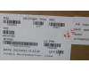 5C50S25523 Lenovo CARDPOP Cardpop L 21J8 AUDIO/B