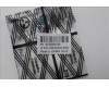 5C50S25700 Lenovo CARDPOP CARDPOP W 21MX Sensor BD