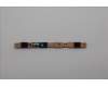 5C50S25718 Lenovo CARDPOP CARDPOP L 21N9 MIC/B