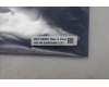 5C50S25895 Lenovo CARDPOP CARDPOP L 83F0 IO/B NSG941