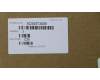 5C50S73009 Lenovo CARDPOP IO/B C 81JX