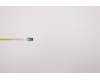 5C50S73049 Lenovo FRU Displaydeckelplatine