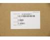 5CB0M86611 Lenovo COVER Lower Case ASSY L80V2