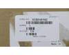 5CB0N91542 Lenovo Scharnierabdeckung L80XM Platingrau