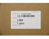 5CB0P20691 Lenovo COVER Hinge Cover3N 81A4 White