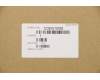 5CB0S18358 Lenovo COVER LCD COVER C 81N7_PINK