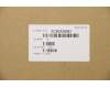 5CB0X56961 Lenovo Gehäuseunterseite W 81VU PG