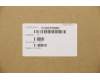 5CB0X56962 Lenovo Gehäuseunterseite W 81VU IB