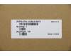 5CB1A16272 Lenovo Gehäuseunterteil L 82BJ DM