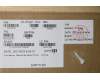 5CB1D03766 Lenovo COVER Lower Case L 20YM