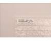 5CB1J23706 Lenovo COVER Hinge Cover L 21EK (R+L+M)