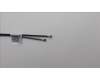 5CB1M72406 Lenovo COVER Hinge Cap C 83DG w/antenna LNG