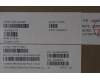 5CB1Q43256 Lenovo COVER COVER L 83LK Lower Case